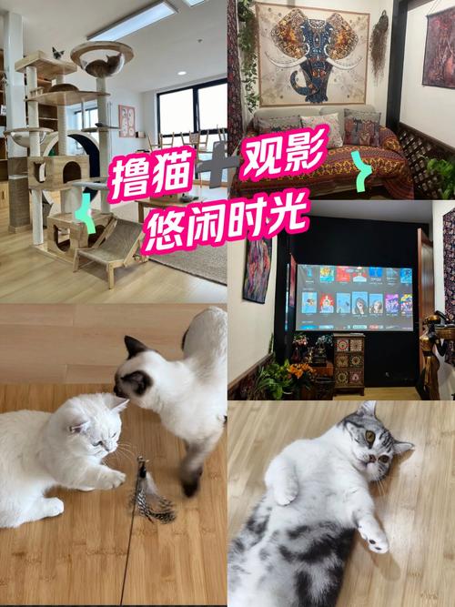 根据“伊人综在合线影院”生成SEO标题如下：

**伊人综在合线影院 - 最新高清影视资源在线观看，畅享免费追剧与无广告观影体验**