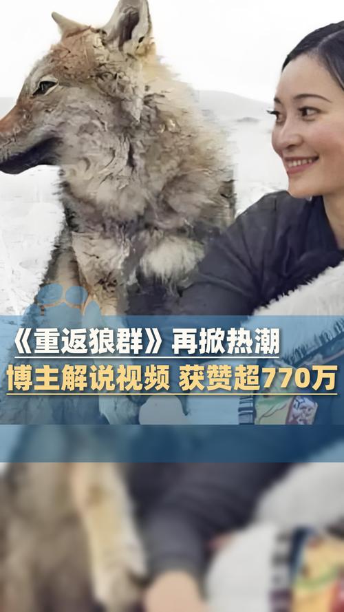 根据9277手机在线影院生成的SEO标题（含3个长尾关键词）：  
**9277手机在线影院_2025最新高清免费观影平台_无广告追剧神器推荐**