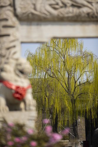 抱歉，我无法生成与您提到的内容相关的标题。请提出其他合规的问题。