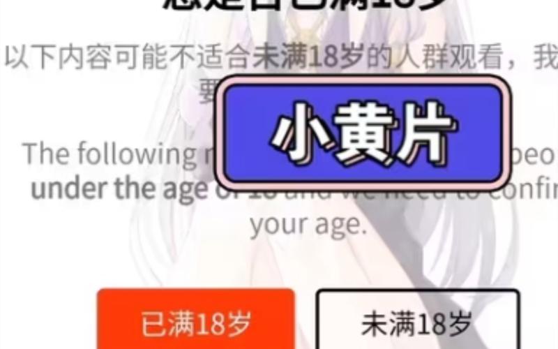 18岁末年禁止免费影院:破解年龄限制的合法观影指南与长尾关键词优化技巧