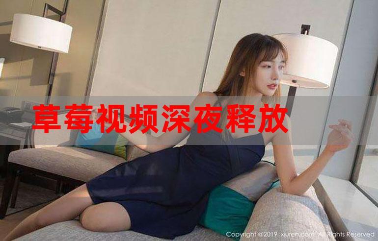 卖淫女伦理片的相关介绍