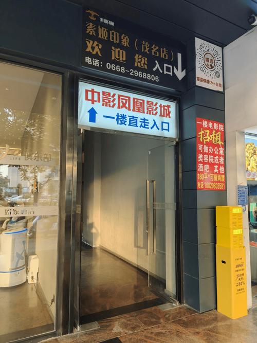 午夜影院先看看：最新热门电影推荐与深夜观影指南（午夜影院、先看看、深夜电影推荐）