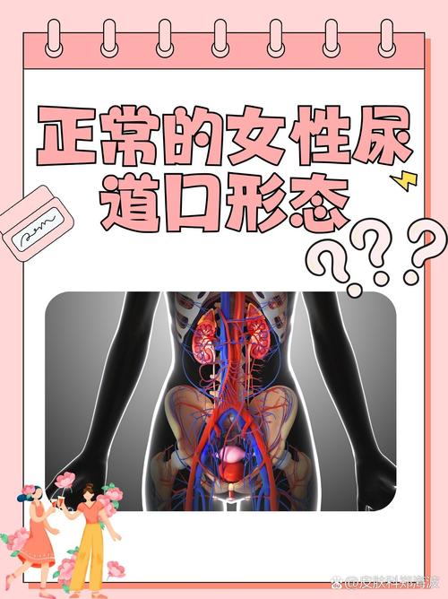 熟女少妇av一区二区三区的相关介绍