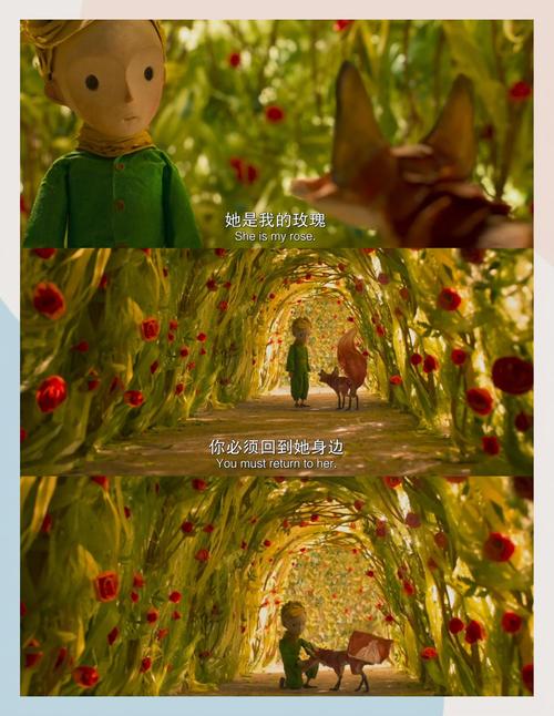 VA在线在线观看｜高清流畅无卡顿，海量影视资源免费畅享